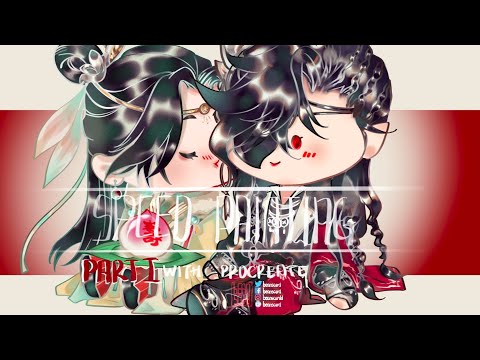 HUALIAN BIRTHDAY WIP | TGCF | 天官赐福 | 花怜 | PROCREATE