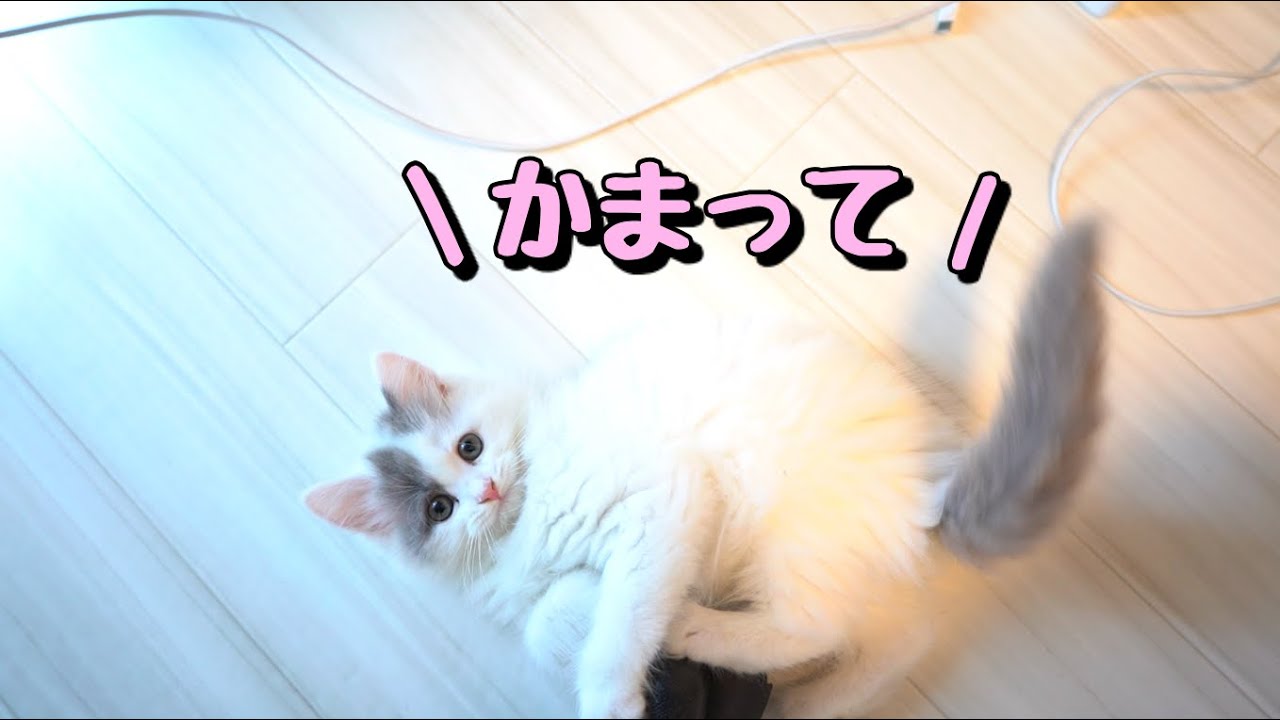 今週もおつかれさんでした　30分ほど〜