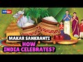 Makar Sankranti 2025 Why Is Makar Sankranti Celebrated How Does India Celebrate It Through Food