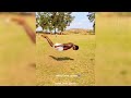Best Flips And Tricks Picks Part 488