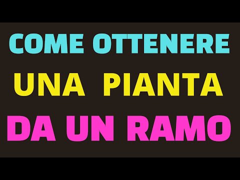 , title : 'Come ottenere una nuova pianta da un ramo'