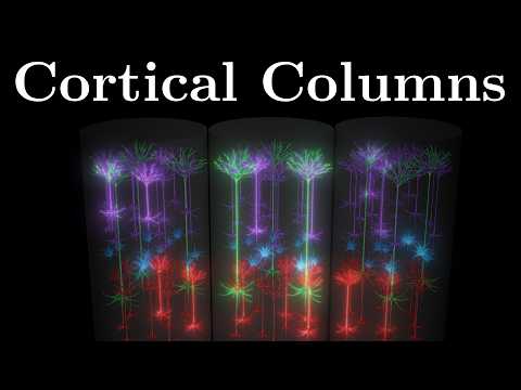 A Fundamental Unit Of Intelligence