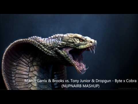 Martin Garrix & Brooks vs. Tony Junior & Dropgun - Byte x Cobra (NUPNAIRB MASHUP)
