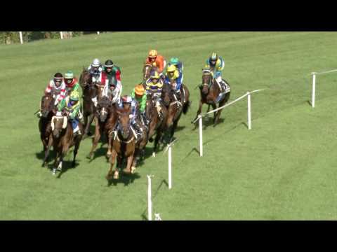 Avenches/03.08.2016/Prix de Mulheim