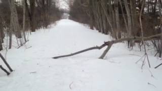 Saturn blocks out the trinity and n plus two of God