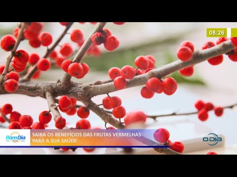 Saiba os benefícios das frutas vermelhas para a sua saúde 19 05 2021