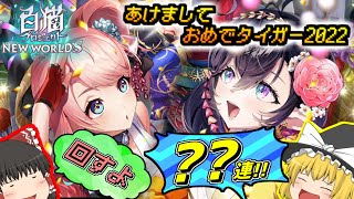 【ゆっくり実況】新年運試しもかねて引いたら...【白猫プロジェクトNW】~あけましておめでタイガー2022~
