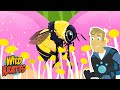 Buzz Pollination Bumblebee Facts Season 7 Wild Kratts