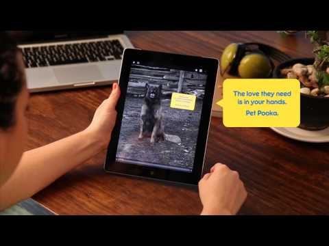 Pedigree's Cuddly Ad