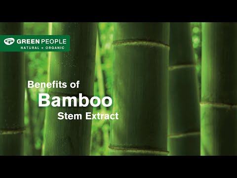 Bamboo Extract Silica 75%