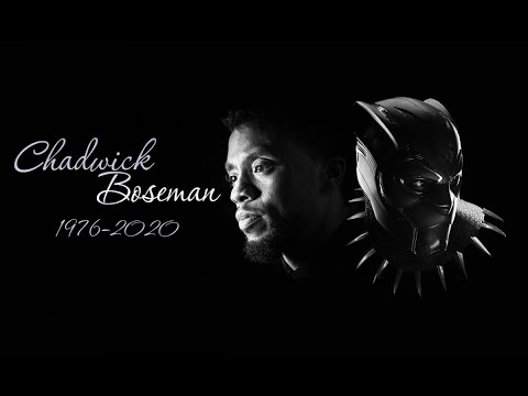 In Loving Memory of Chadwick Boseman (1976-2020)