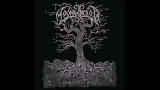 Moonsorrow - Mimisbrunn