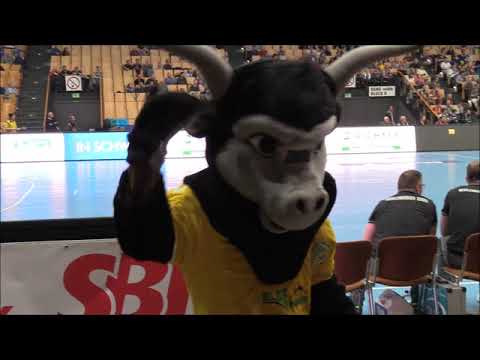 Mecklenburger Stiere - Oranienburger HC 25:25