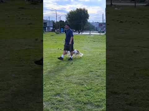 UNA MAÑANA DE 25 DE MARZO 😝🧦🚶‍♂️🤑 BUENOS AIRES VENDEDOR DE MEDIAS PREMIUM 🧦 🐺