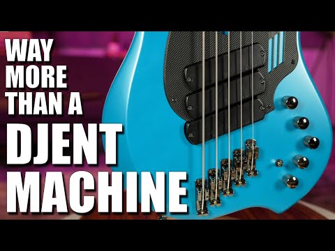 NOLLY HAS GOOD TASTE! Dingwall NG3 Review