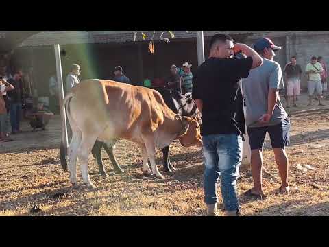 TIANGUE SANTA ELENA, USULUTÁN, EL SALVADOR.