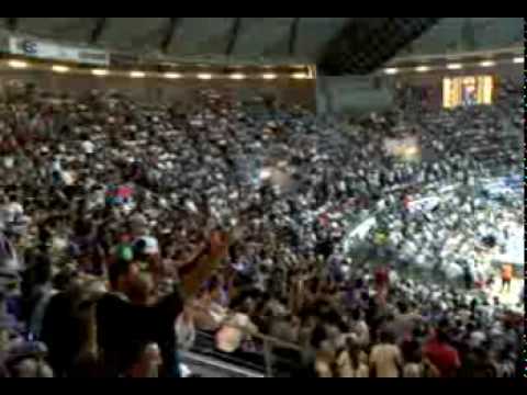 zadar cibona 8.6.2010. (4.ut) - dalmacijo