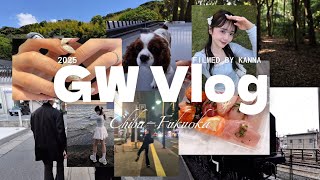 GW vlog | ウェディングフォト撮影👰🏻‍♀️,福岡帰省,唐戸市場,福岡グルメ🐟