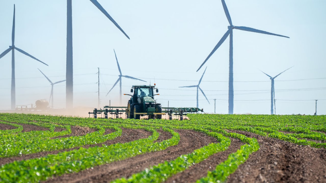 150 Acres Per Day | Cultivating Organic Cotton