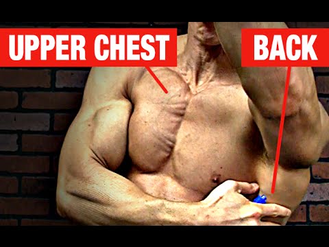 Workout,ab workouts,shoulder workouts,chest workouts,back workouts