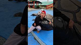 Download lagu Mother turtle's sound‼️😂‼️ mp3