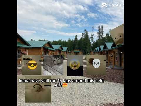 Welcome to summer camp