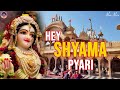 Hey Shyama Pyari Tere Bina Koi Nahi Hai Mera Mujhe Sahara Shyama Ju Tera Radha Rani Ke Bhajan