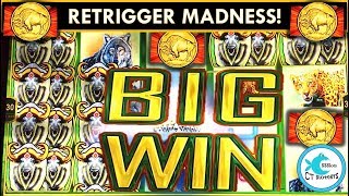 ★NON-STOP COINS★SUPER BIG WIN★ MIDNIGHT STAMPEDE SLOT MACHINE - Thanks Buffalo!