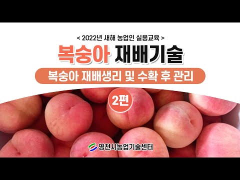 , title : '2022년 새해 농업인 실용교육(복숭아 재배기술 02)-재배생리 및 수확 후 관리'