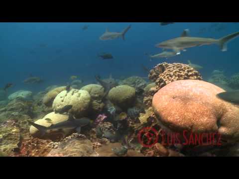 Clipperton, Underwater planet series HD