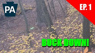 PA Archery Buck DOWN! | Bow season has been a GRIND so far! | 2024 Bowhunting Pennsylvania