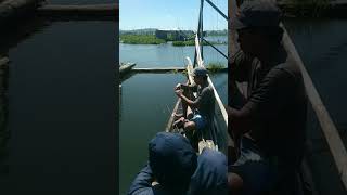 Download lagu mancing #viralsong #mancing #fishing #spotnilaliar #sarangikannila mp3 Download lagu mancing #viralsong #mancing #fishing #spotnilaliar #sarangikannila mp3