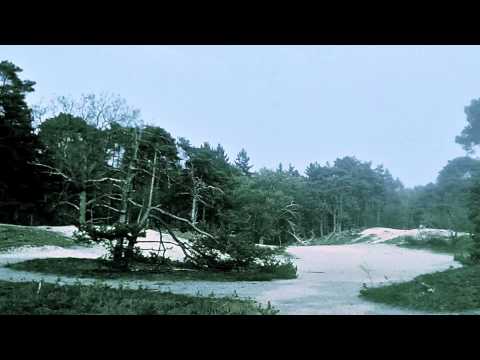 Hollowvain - Inexistenz, Einsamkeit