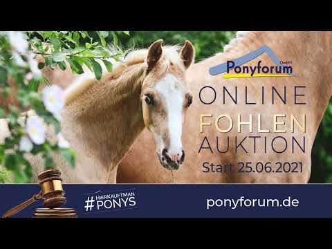 C-LINE WE SF v. Cosmo Royale / Constantin EL