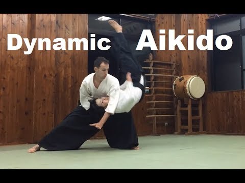 Dynamic Aikido Practice with Toshihito Saotome