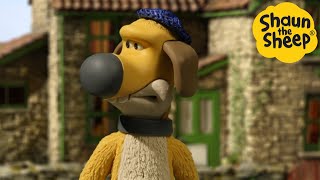 Shaun the Sheep 🐑 Bitzer the Captin! - Cartoons for Kids 🐑 Full Episodes Compilation [1 hour]