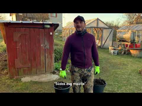 Ginta Grāveļa sveiciens no mājām