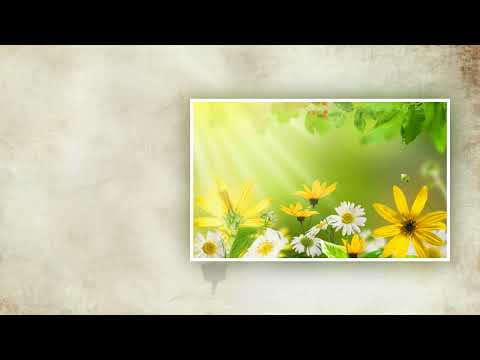 Srba Ivanovic   Iz banju ide, sejtan devojce