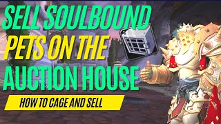 How You Can Sell Your Soulbound Battle Pets On the Auction House For Gold In World Of Warcraft