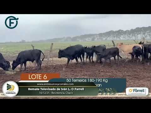 10-12-25 - Remate Televisado de Iván L O Farrell - Resistencia, Chaco