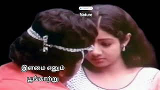29 October 2025🙏❤️👍# தன்னை மறந்து# இளமைஎனும்பூங்காற்று#melodysong#lovesong#oldsong#trendingshorts#yt
