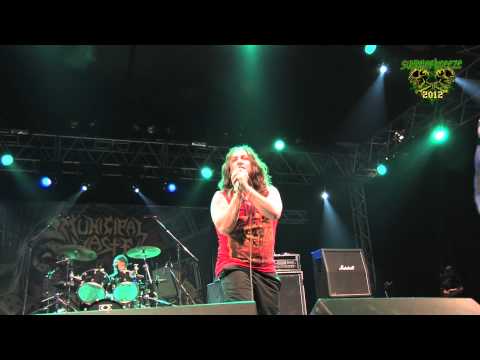 Summer Breeze 2012 - Municipal Waste