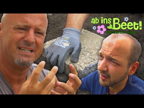 Detlefs geniale Ideen retten den Tag: "Die Steine sitzen perfekt!" 😮‍💨 | Ab ins Beet! | Ganze Folge