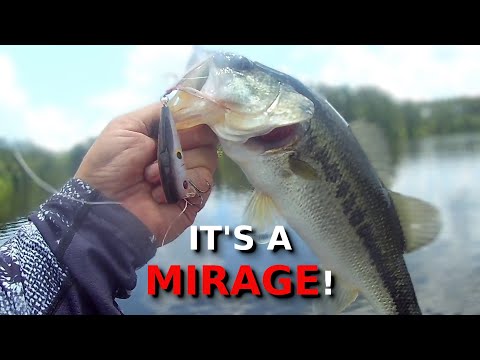 Don't Get TRICKED By Busting Bass!!!! The BIGGEST Illusion In Bass Fishing!!!!!