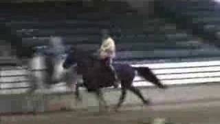 Speed Racking horse Smooth and clocked at 25 MPH Amazing!!