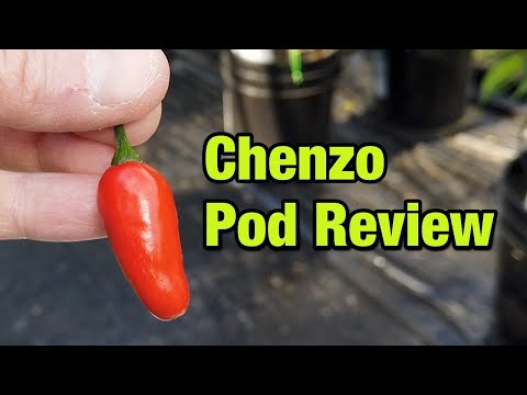 Chenzo - Pepper review