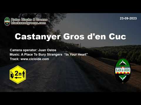 Castanyer gros d’en Cuc