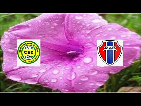 Cordino x  Maranhão 24/09/2021