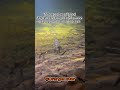 I love these unique creatures, living their whole life in darkness 🕳️ Subcribe for more caving!! - OrangeCaver I love these unique creatures, living their whole life in darkness 🕳️ Subcribe for more caving!!