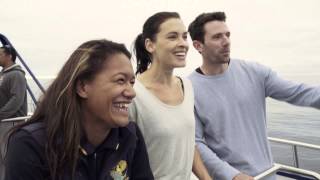 Encountering giants of the sea – Kaikoura, New Zealand